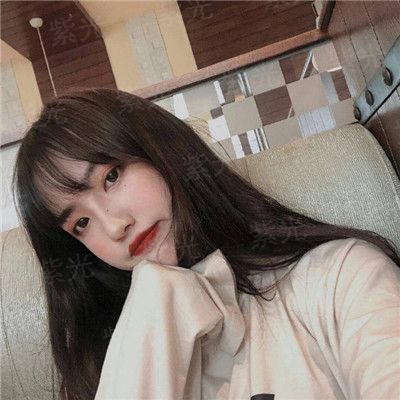 吟风寻剑录